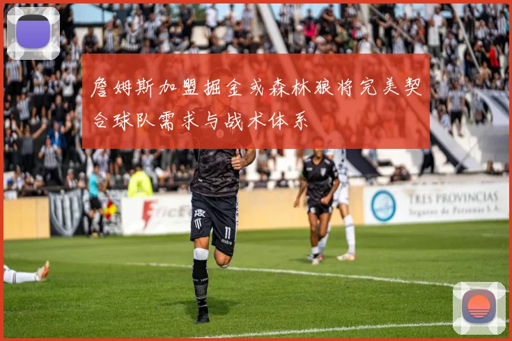 詹姆斯加盟掘金或森林狼将完美契合球队需求与战术体系